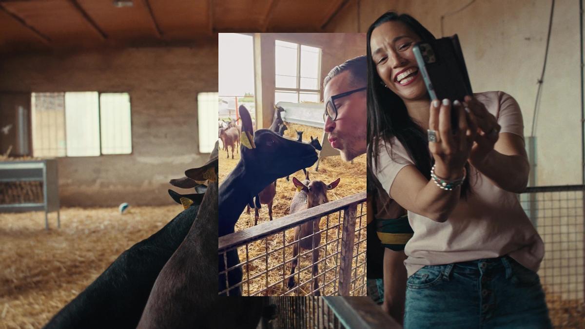 Fotograma de la campaña 'Cheestories' con la que se han promocionado los quesos españoles en Estados Unidos.