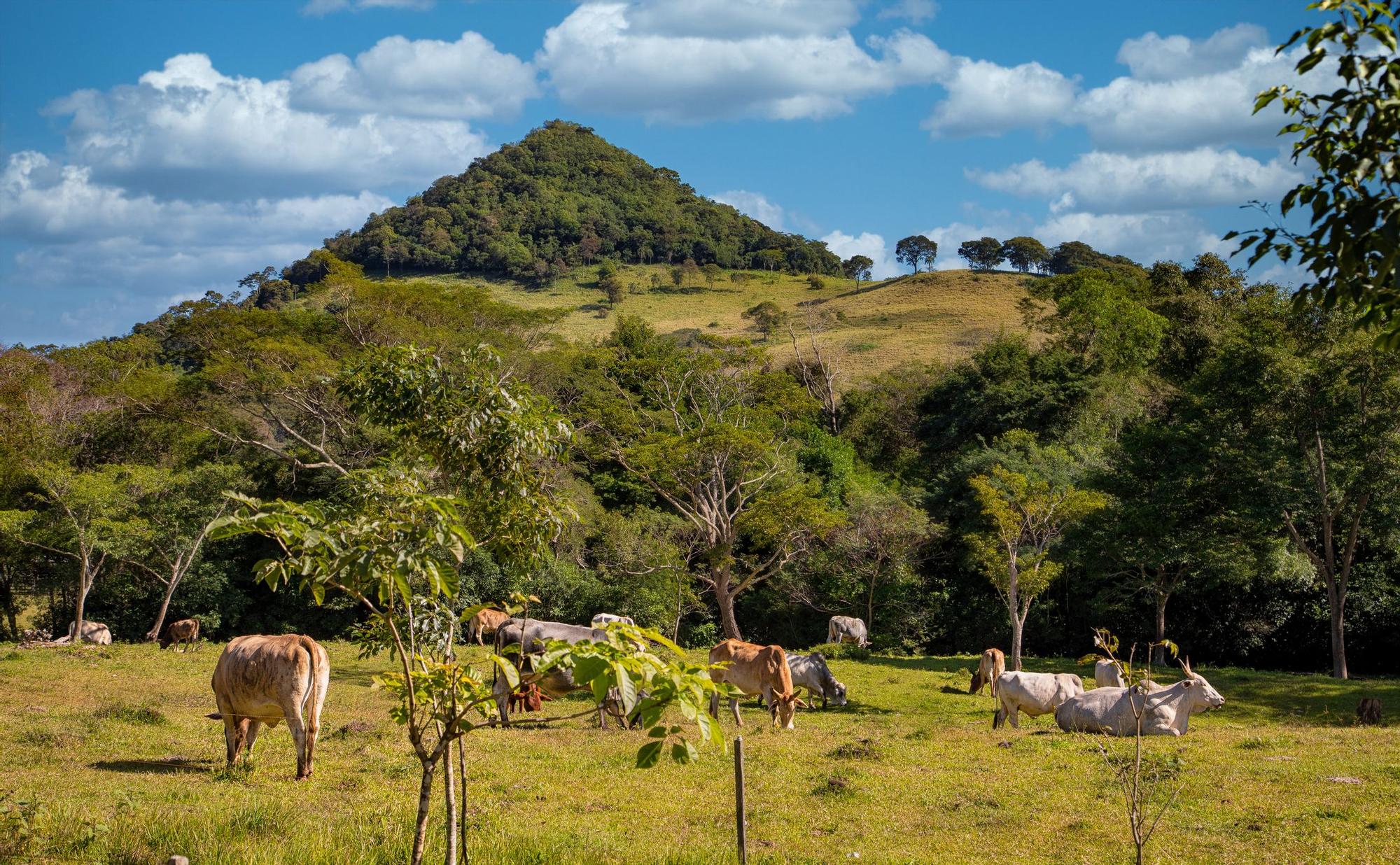 Cordillera del Ybytyruzú