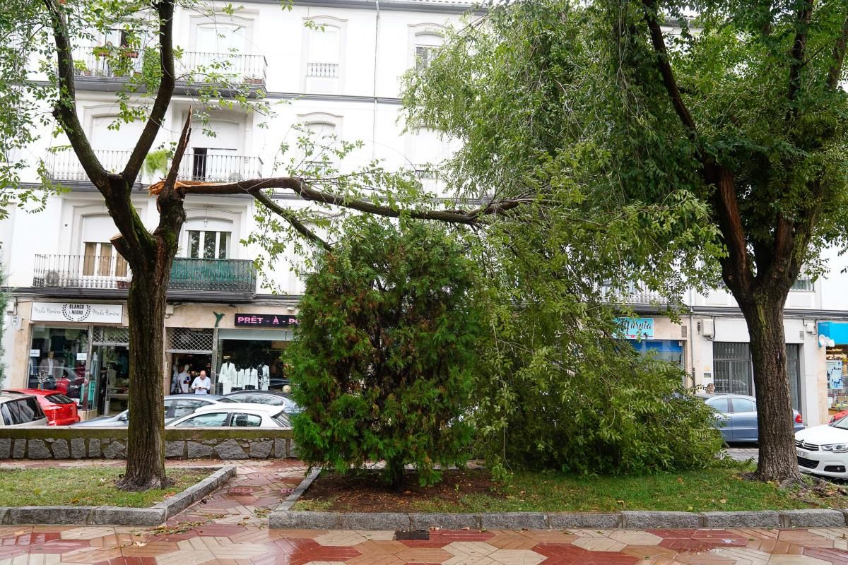 Un vendaval sacude Pozoblanco