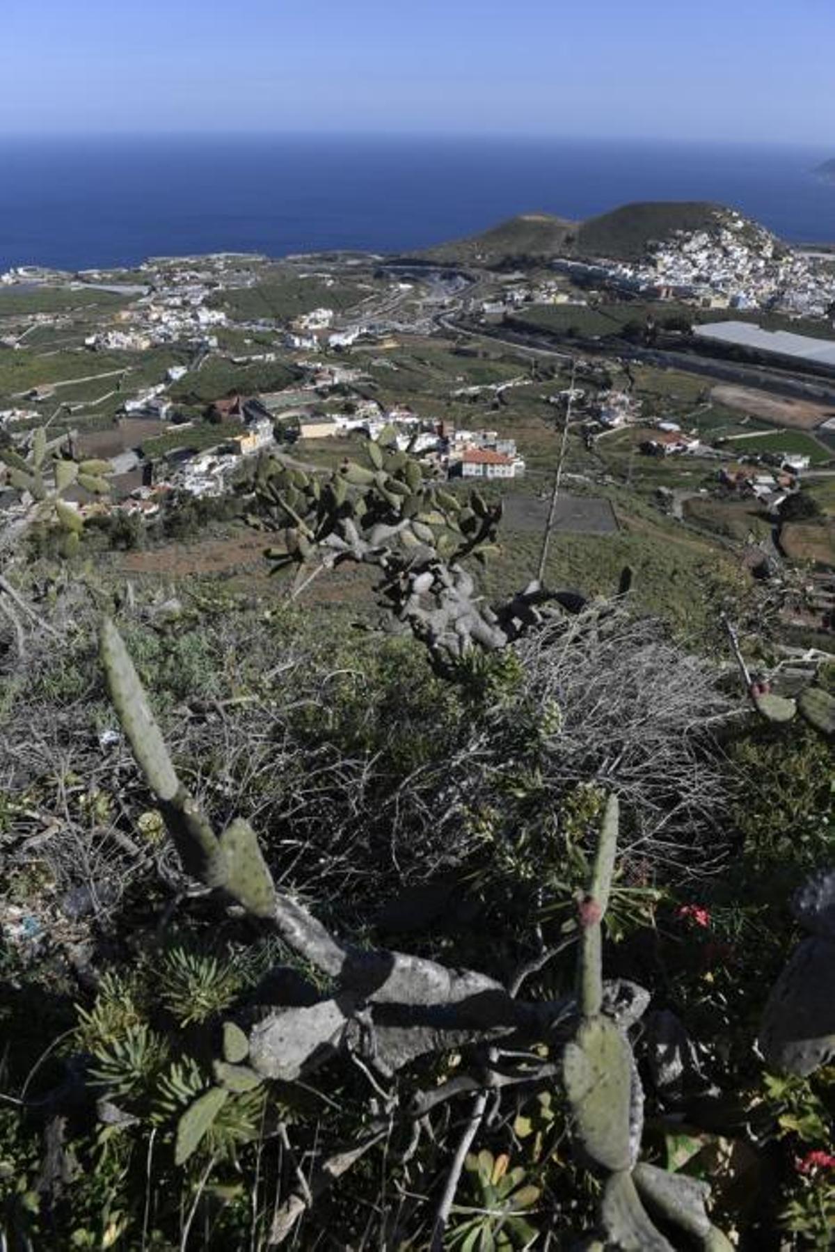 GRAN CANARIA 14-01-2019 ARUCAS. METEOROLOGIA. Calima. Vistas desde la Montaña de Arucas  FOTOS: JUAN CASTRO