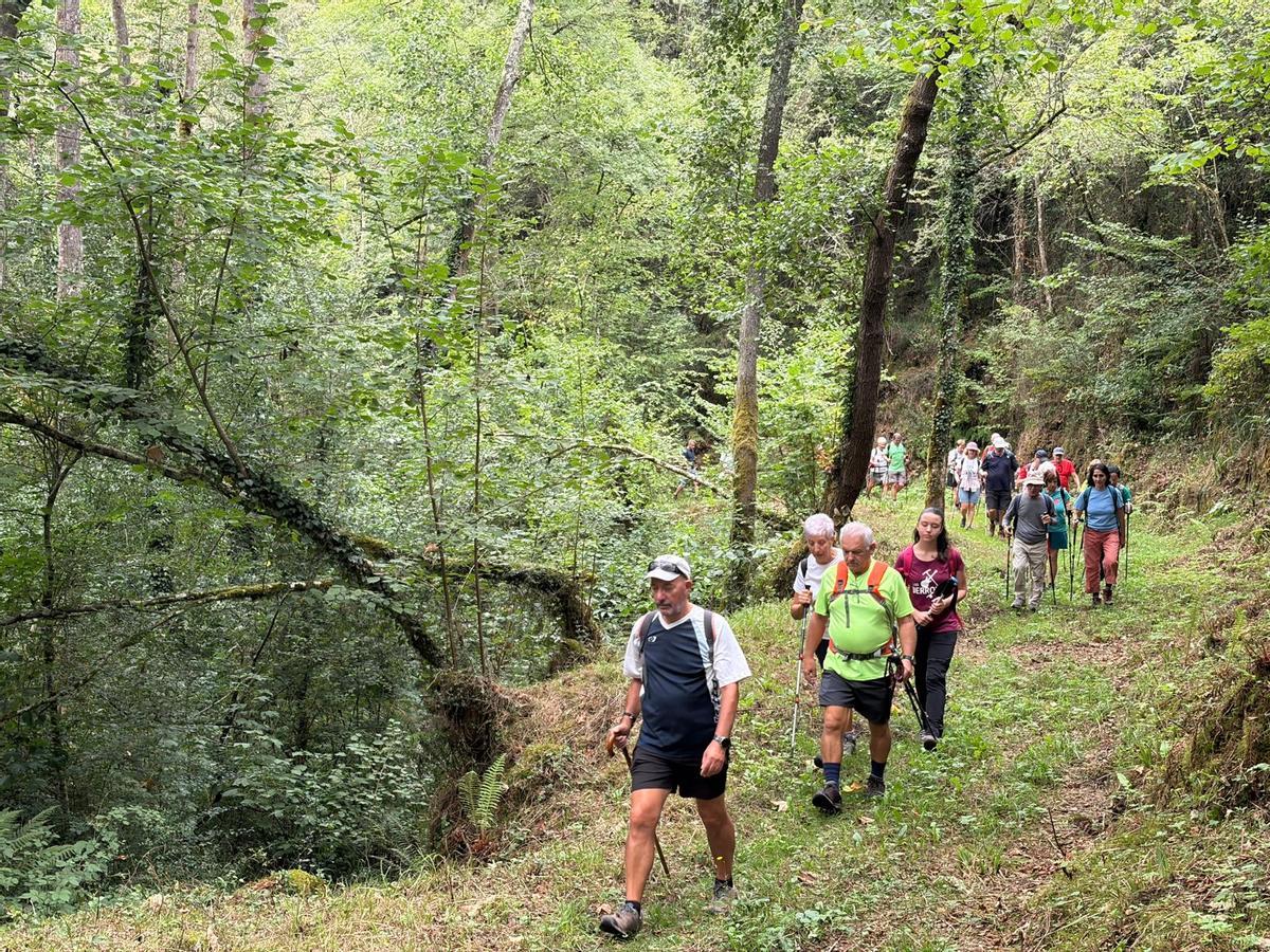 La caminata con el Grupo Montañero Moscón, en imágenes La caminata con el Grupo Montañero Moscón, en imágenes