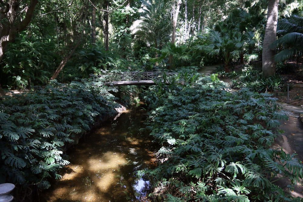 Más de cien árboles y 7.000 ejemplares nuevas plantas revitalizarán los jardines