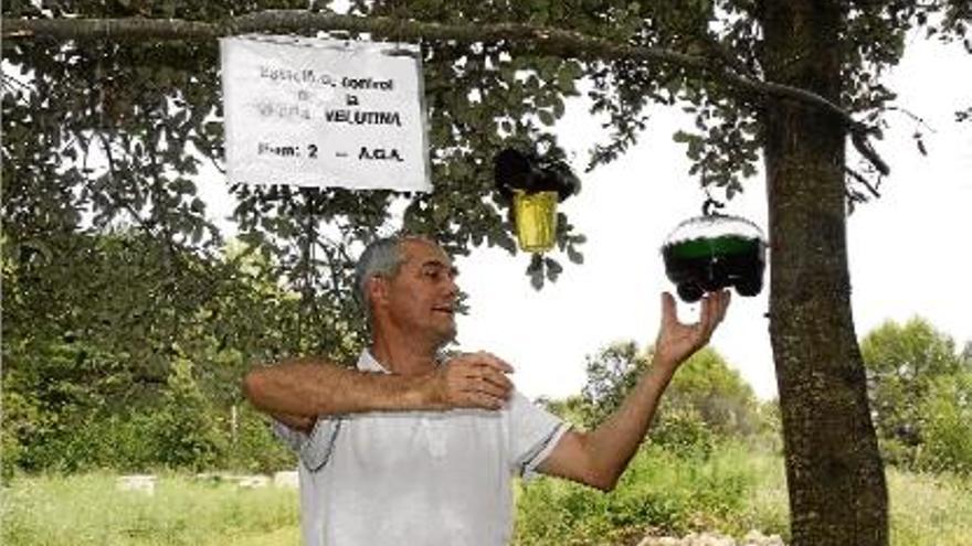 Preparant els paranys per atrapar vespes i controlar la població perquè no proliferi.