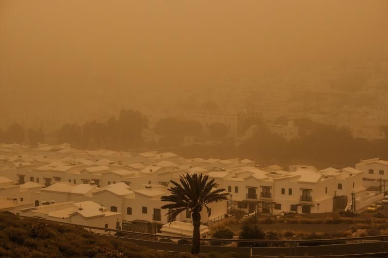 La Aldea - Agaete- Las Palmas de GC:. Incendio Tasarte y calima  | 23/02/2020 | Fotógrafo: José Carlos Guerra