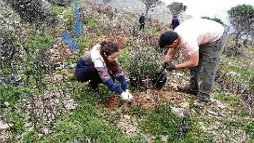 Alguns dels participants en la campanya de reforestació d&#039;ahir.