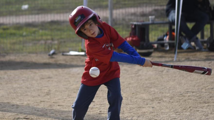 El nou camp de beisbol, al Congost, s´inaugurarà diumenge amb un partit internacional