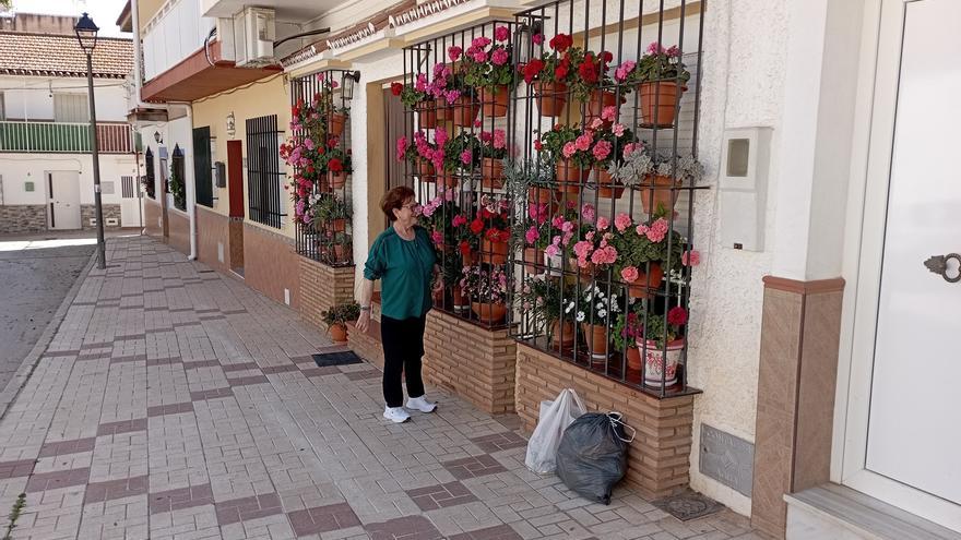Las flores que embellecen desde hace casi 40 años una calle de Campanillas