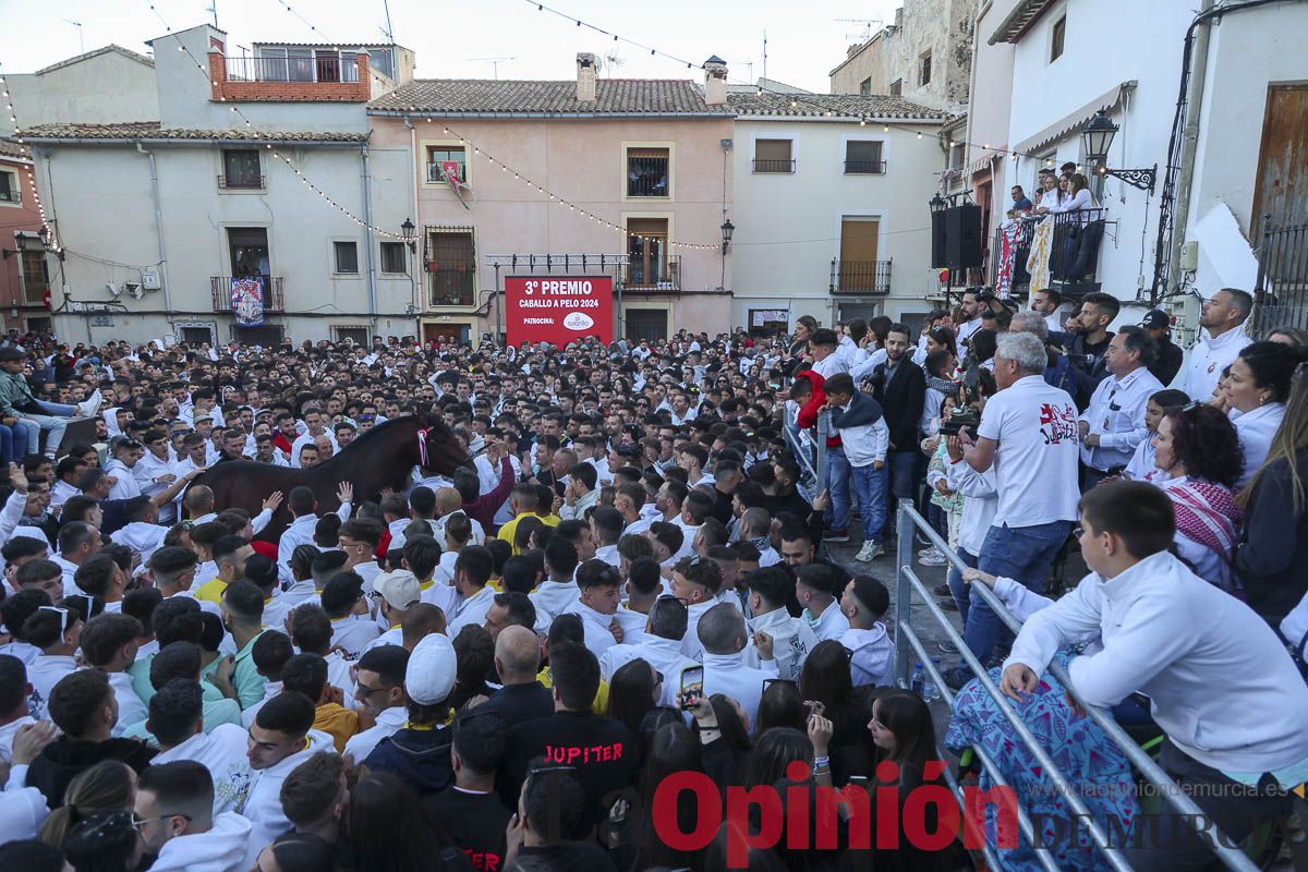 Entrega de premios del concurso de 'Caballo a pelo' en Caravaca