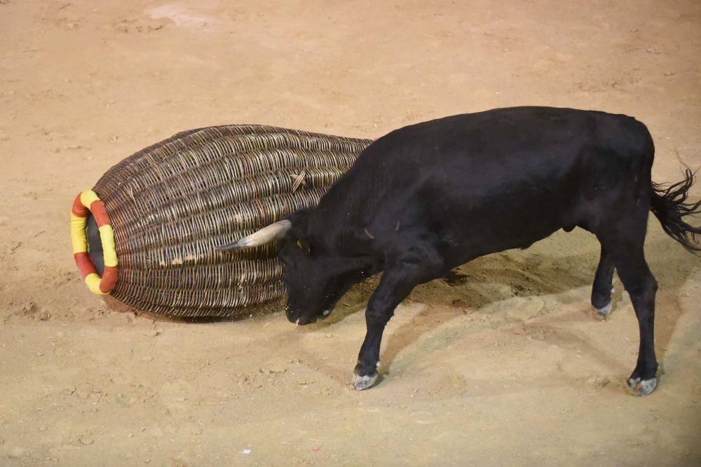 Corre de bou de Cardona