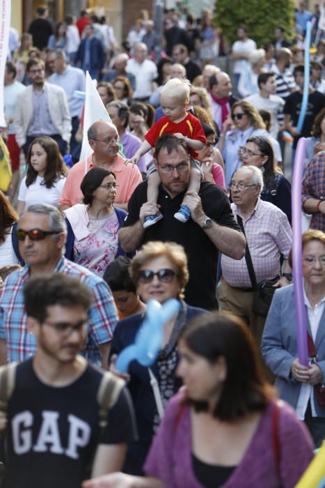 Los padres insisten en que se paralice el decreto y reclaman poder elegir la lengua vehicular en la que aprendan sus hijos