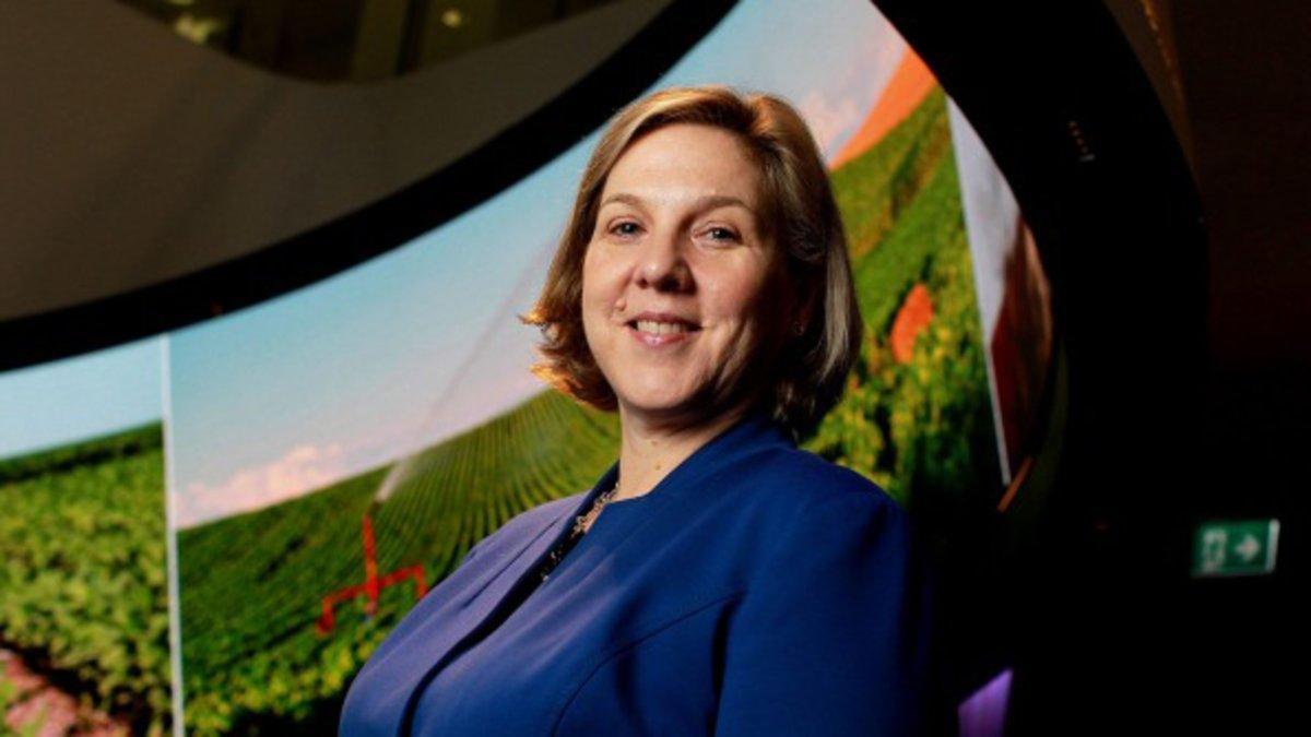 Robyn Denholm, nueva presidenta de Tesla.