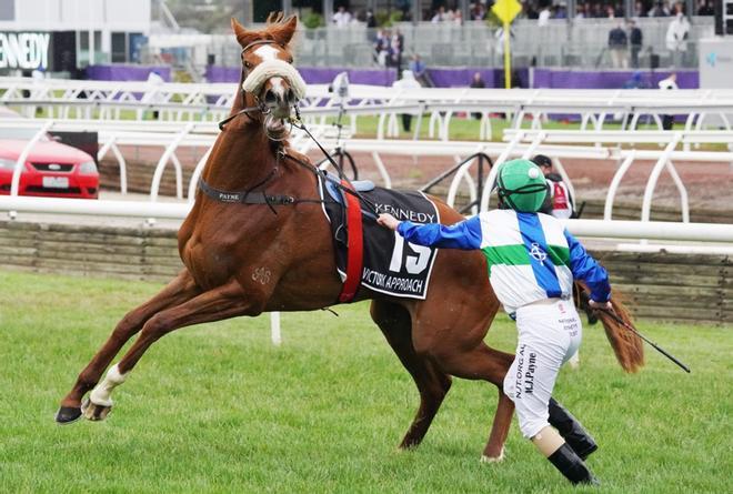 Michelle Payne se detiene por última vez en Victory Approach después de la carrera 8, los Kennedy Oaks, durante el Oaks Day en el hipódromo de Flemington.