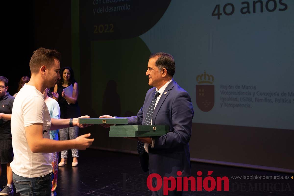 Plena Inclusión entrega sus premios Laurel