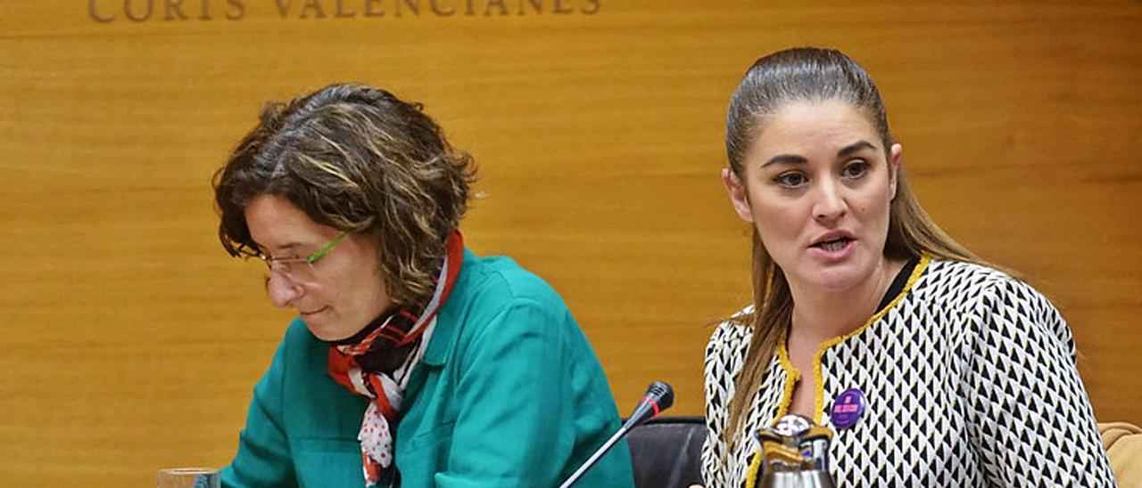 La diputada Graciela Ferrer y la consellera Mollà, en la presentación de la ley de economía circular. | LEVANTE-EMV