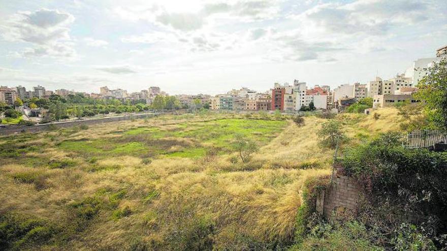 Mit etwas Fantasie ist das Spielfeld noch zu erkennen. Das Lluis Sitjar ist heute ein Acker.  | FOTO: GUILLEM B OSCH