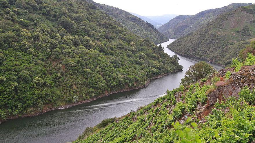 La Xunta eleva al 90% el grado de ejecución del plan estratégico para la Ribeira Sacra - Vimarsana News