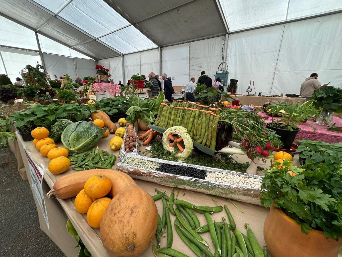 EN IMÁGENES: Así fue la primera jornada de las fiestas de San Isidro en Piedras Blancas