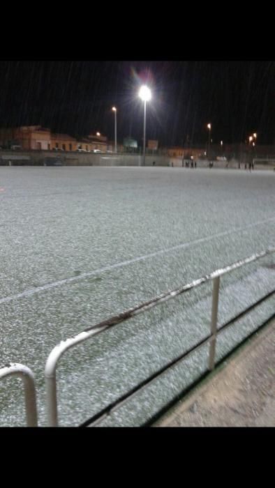 Nevada en Elche