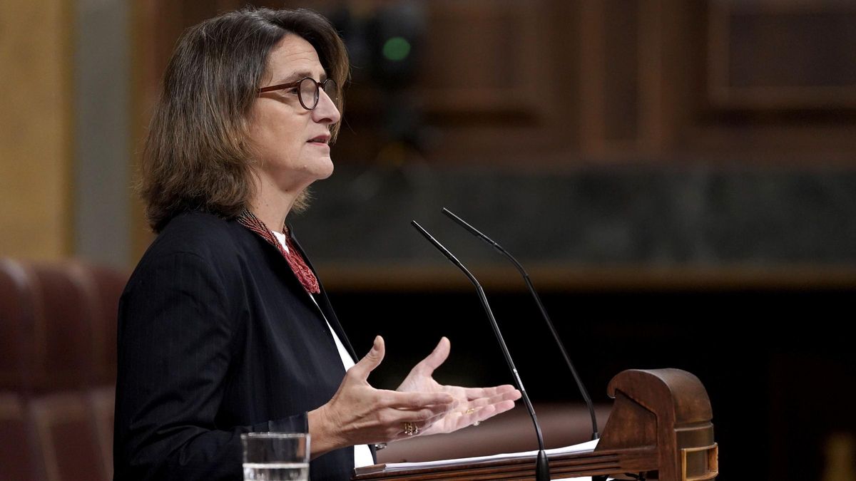 Teresa Ribera, interviene durante una sesión plenaria en el Congreso de los Diputados