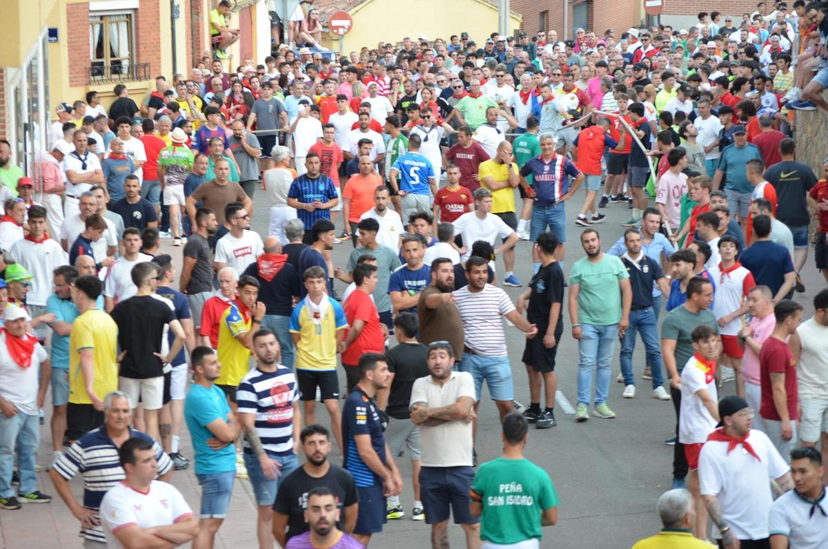 Así fue el recorrido del Toro Enmaromado Glorificado, por las calles de Benavente Así fue el recorrido del Toro Enmaromado Glorificado, por las calles de Benavente
