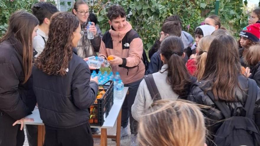 Los estudiantes reparten agua y naranjas.