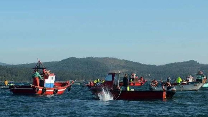 Libre marisqueo en Os Lombos do Ulla. // Noé Parga