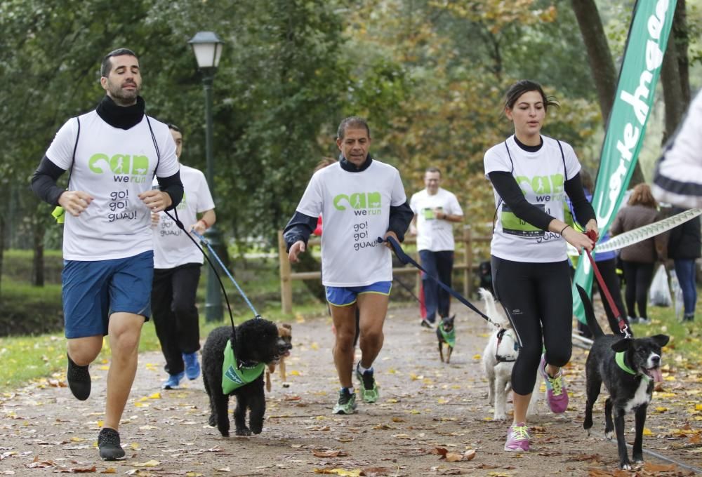 La Can We Run de Vigo ofreció en Castrelos una propuesta diferente que conjugó deporte, familia y mascotas