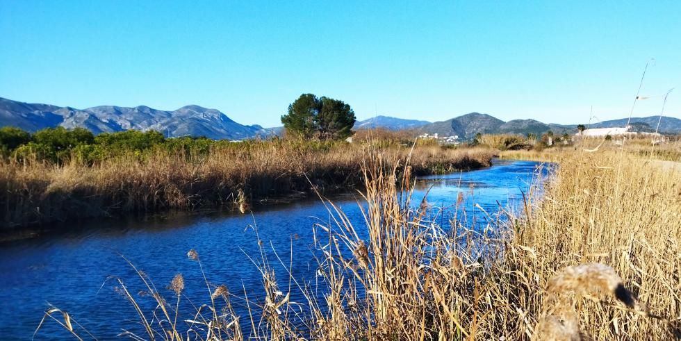 Parque natural de la Marjal de Pego-Oliva