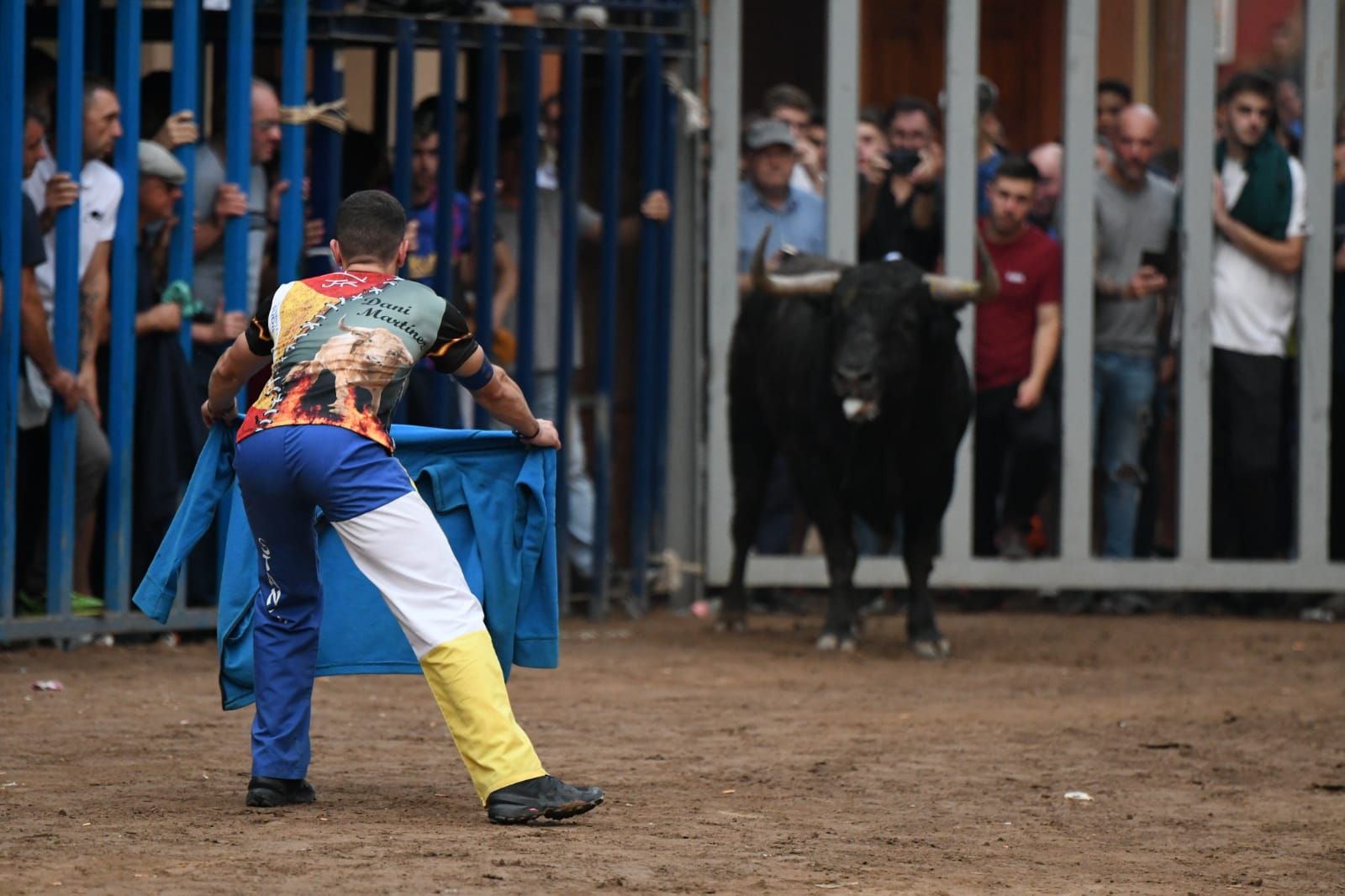 Exhibición de cuatro toros de Partida Resina en Onda