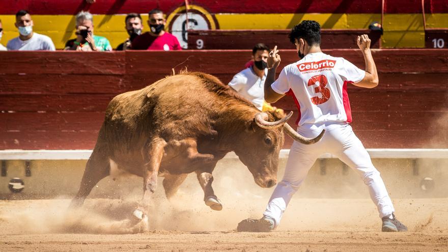 Raúl Gil se proclama ganador del concurso de recortadores