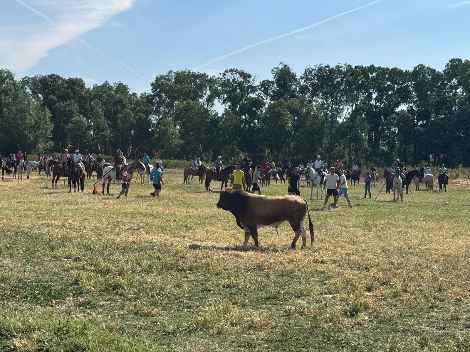 GALERÍA | Encierro bajo el bochorno en Vadillo de la Guareña