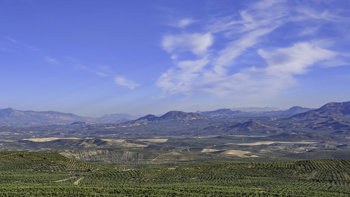 Paco vive solo en un caserío de la Sierra de Segura