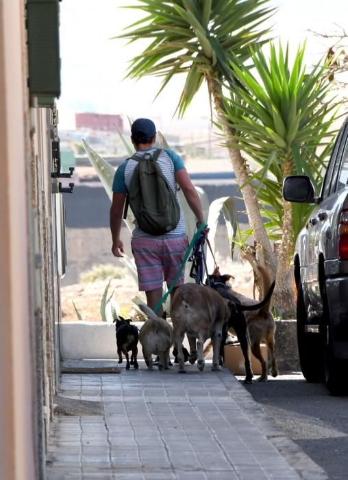 13/03/2019 LAS HUESAS. TELDE. Abandono de cachorros en contenedores de basura en el barrio de Las Huesas.  Fotografa: YAIZA SOCORRO.