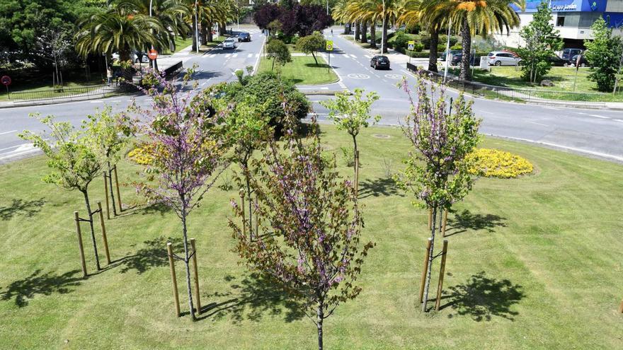 El Ayuntamiento de A Coruña exige 3,5 millones a la antigua concesionaria del servicio de parques y jardines