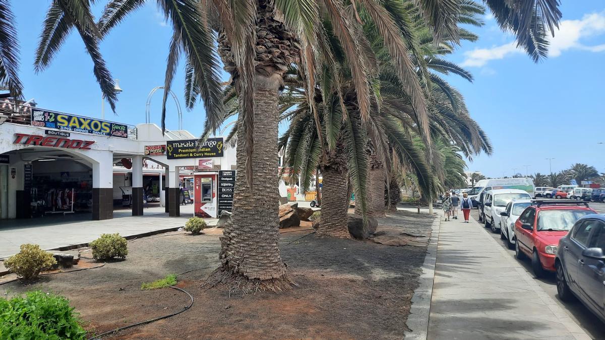 Bar Saxos, en Costa Teguise, en cuyos alrededores se produjo la riña entre dos hombres.