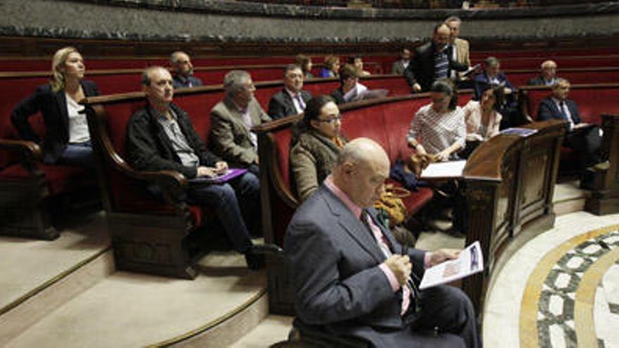 Representantes del Consejo Económico y Social de la Ciudad ayer en el hemiciclo.