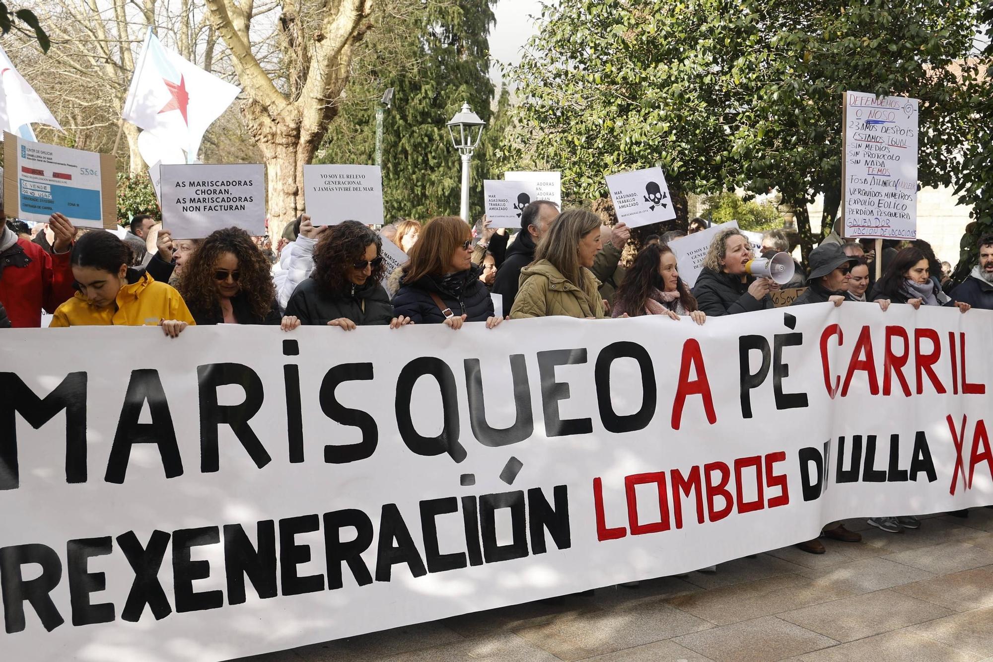 Así se ha desarrollado la manifestación por la crisis de los pélets en Santiago