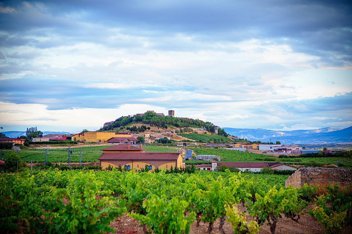 En este pueblo del País Vasco el vino es como una religión