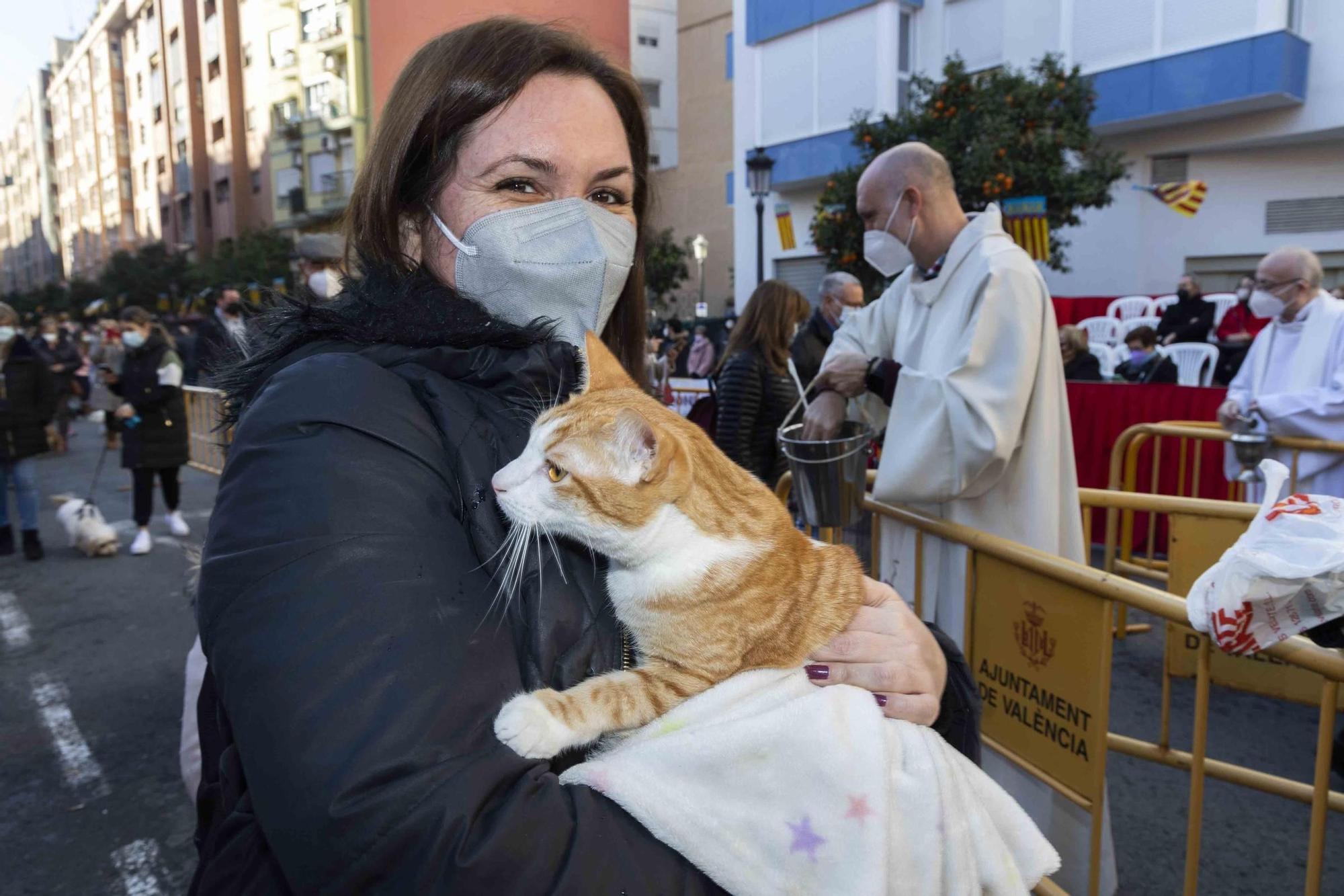 Búscate en la bendición de animales de Sant Antoni