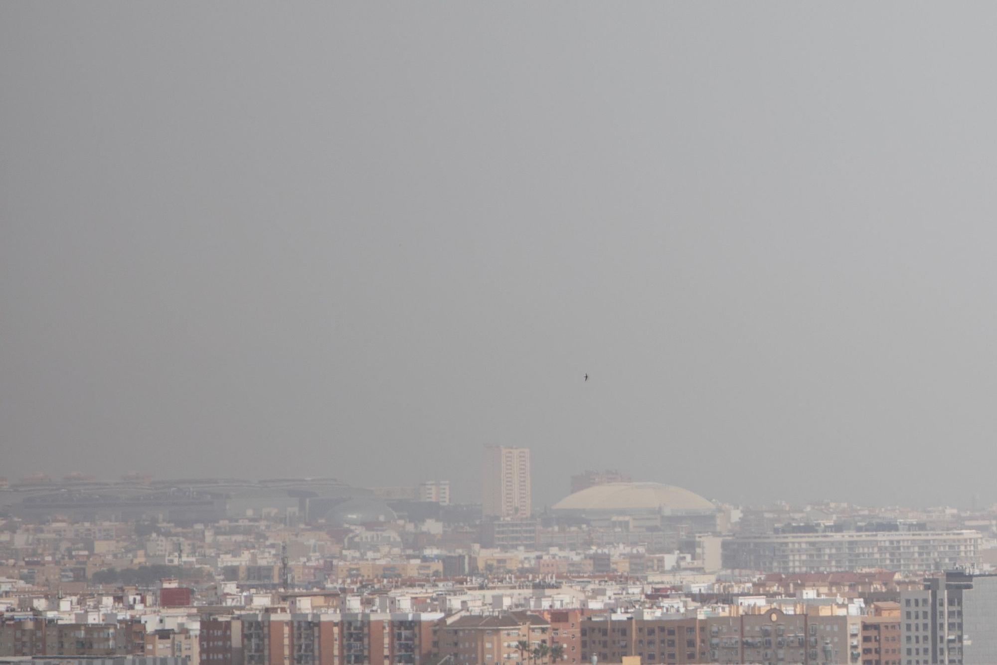Una densa nube de polvo sahariano cubre València