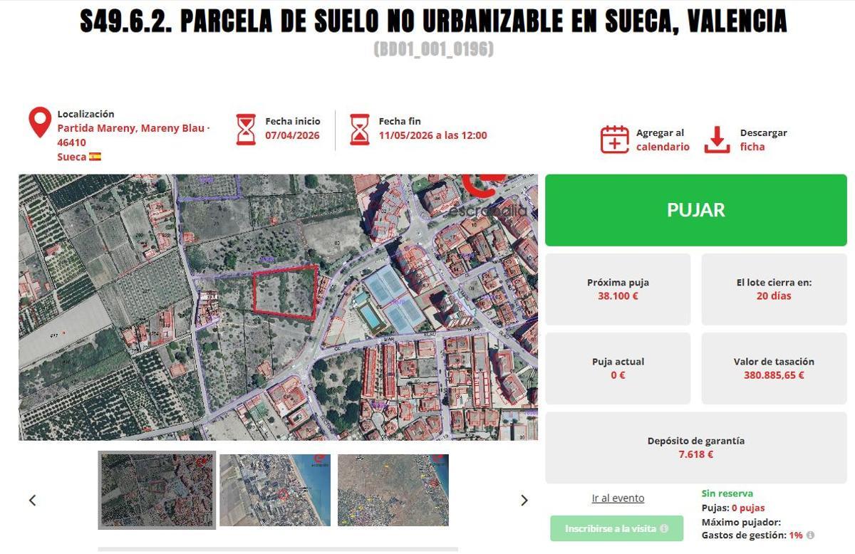 Pantalla de la web donde se desarrolla la subasta de la parcela de Sueca.
