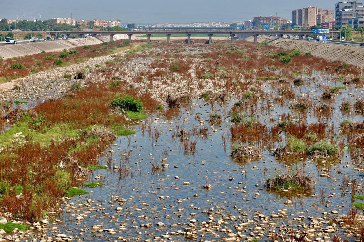 El nuevo cauce del río Turia desde el puente de Picanya