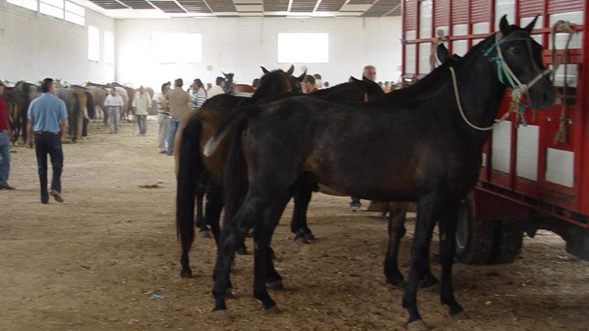 La feria del ganado regresa al entorno de la Vía Verde