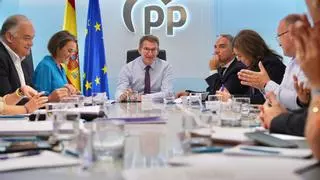 El PP se congratula por la "movilización popular" contra la amnistía: "Solo beneficia a los afectados y a Sánchez"