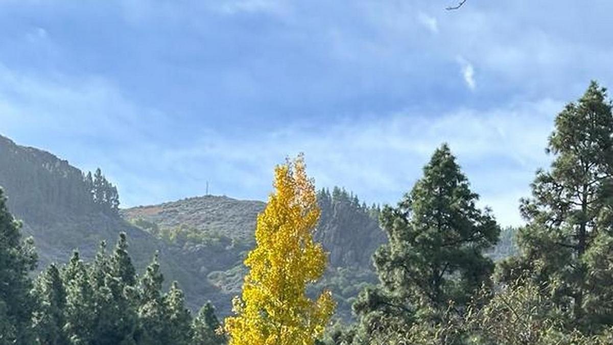 Ruta Presa de Las Hoyas - Pozo de las Nieves, desde La Lechuza