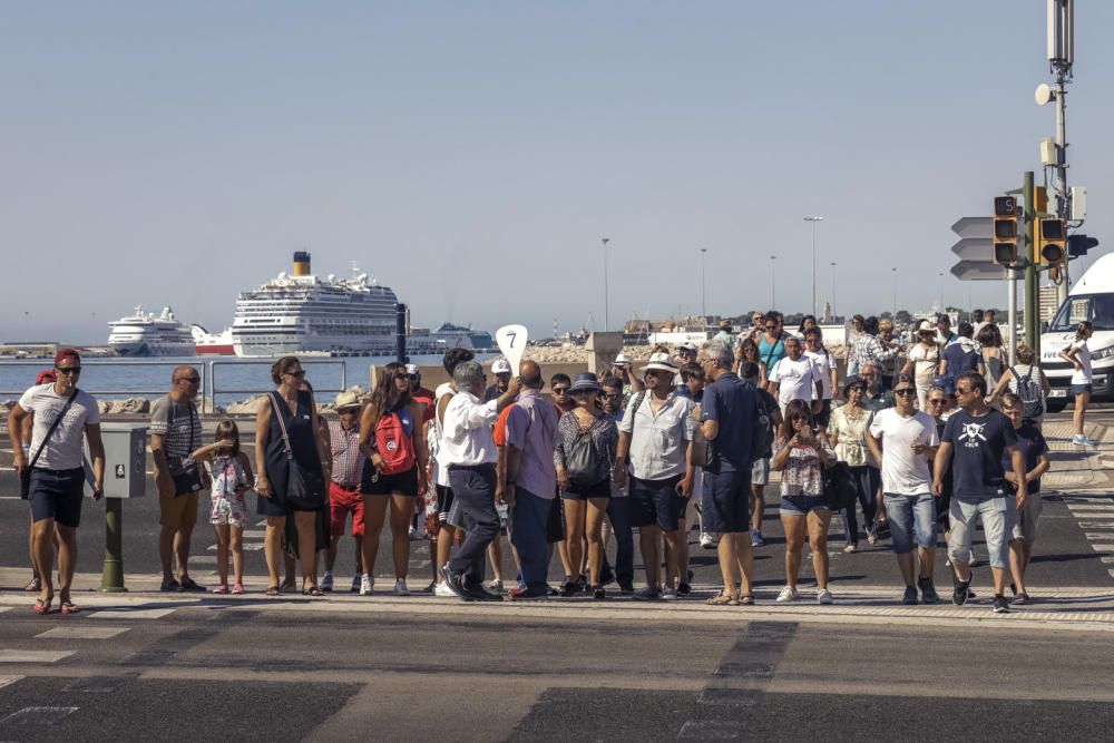 Kreuzfahrer überrennen Palma de Mallorca