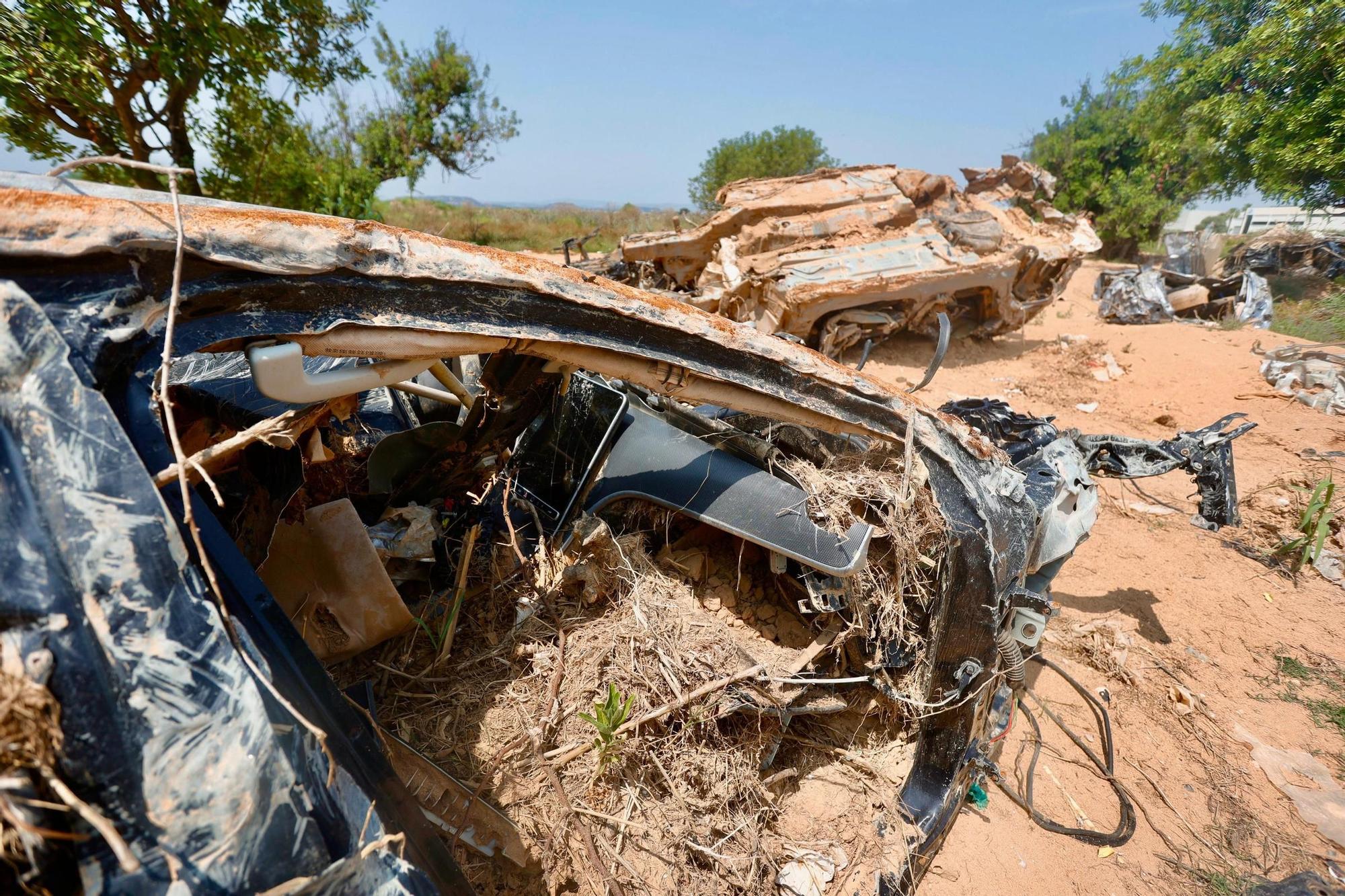 Vertidos ilegales y abandono de más de 300 vehículos tras la riada del 29 de octubre