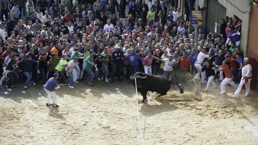 Salida del Toro Enmaromado de Benavente en 2013