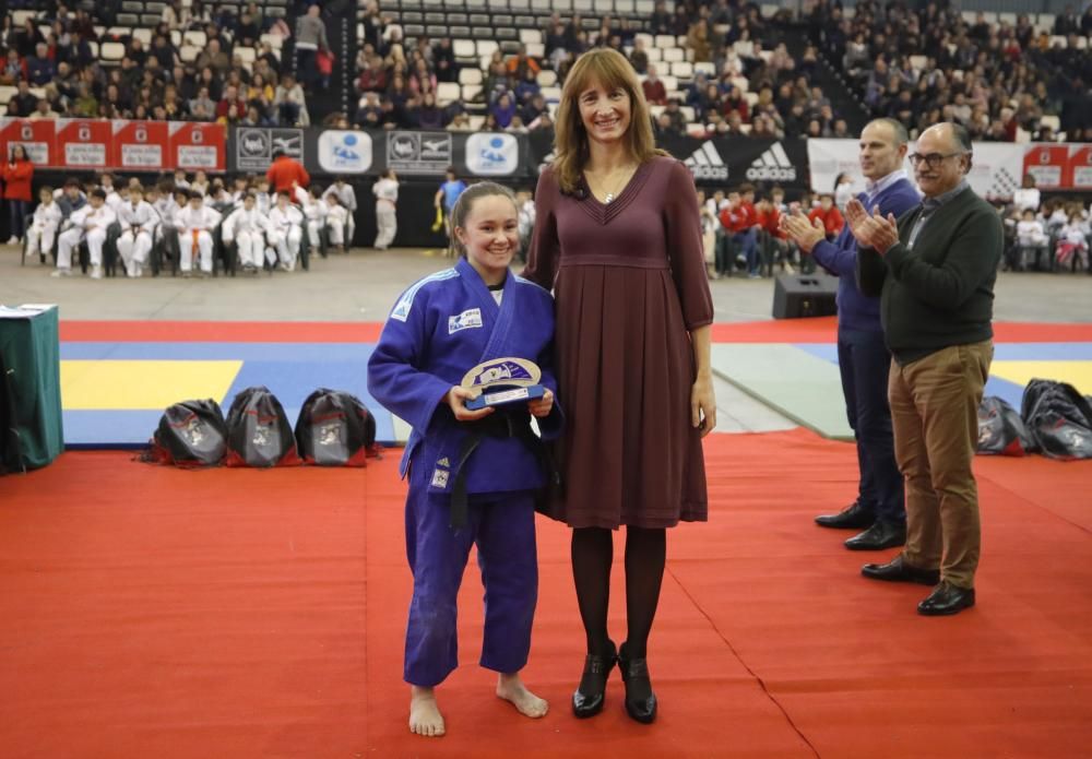 26ª edición de la Fiesta del Judo Infantil.