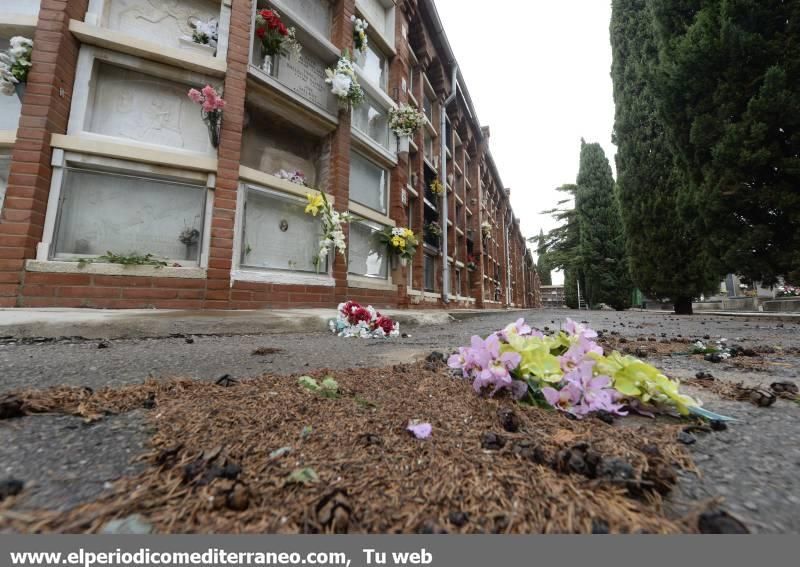 GALERÍA DE FOTOS -- Efectos de las tormentas en la provincia